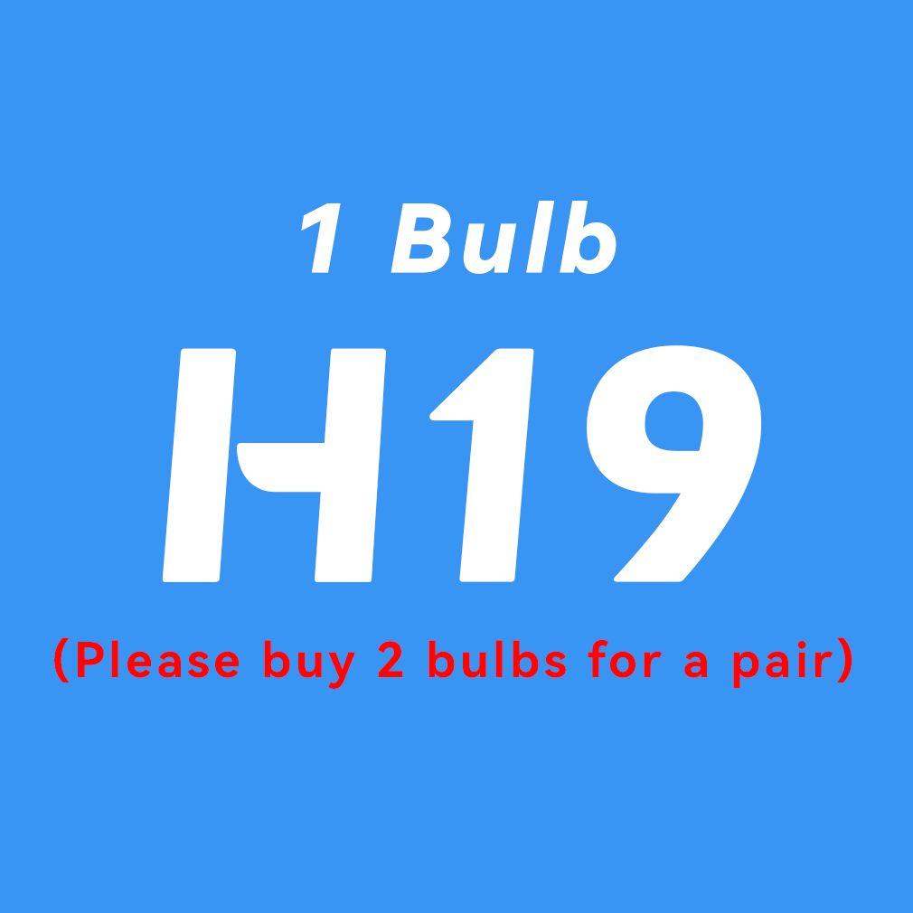 H19