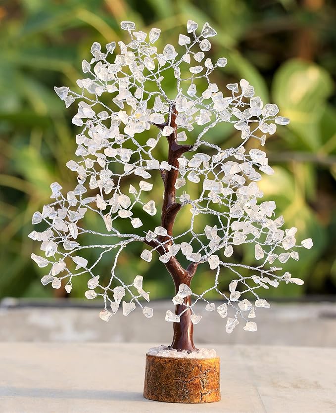 ตามที่แสดงในรูป