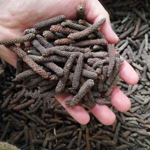 Long Pepper From Madura <strong>Indonesia</strong>, Harvested Directly From the Garden with High Quality and Good Prices