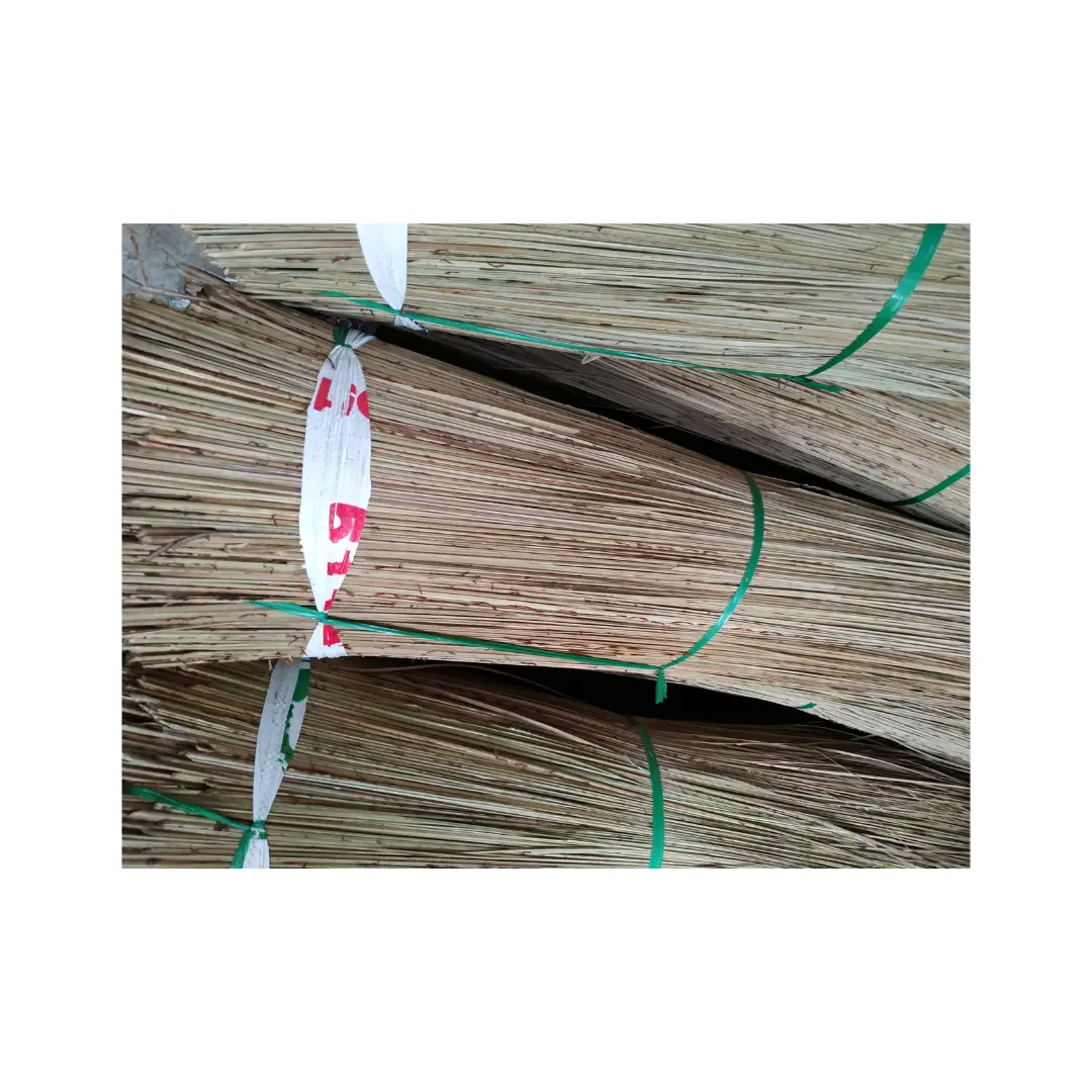 Il pavimento della scopa, il giardino, i bastoncini di bambù naturale e puro cocco per la pulizia esterna vendono alla rinfusa dalla fabbrica del Vietnam