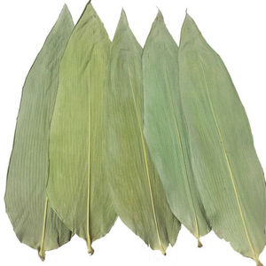 Doğal taze yeşil bambu yaprakları sarma Chung kek - Product Image 2
