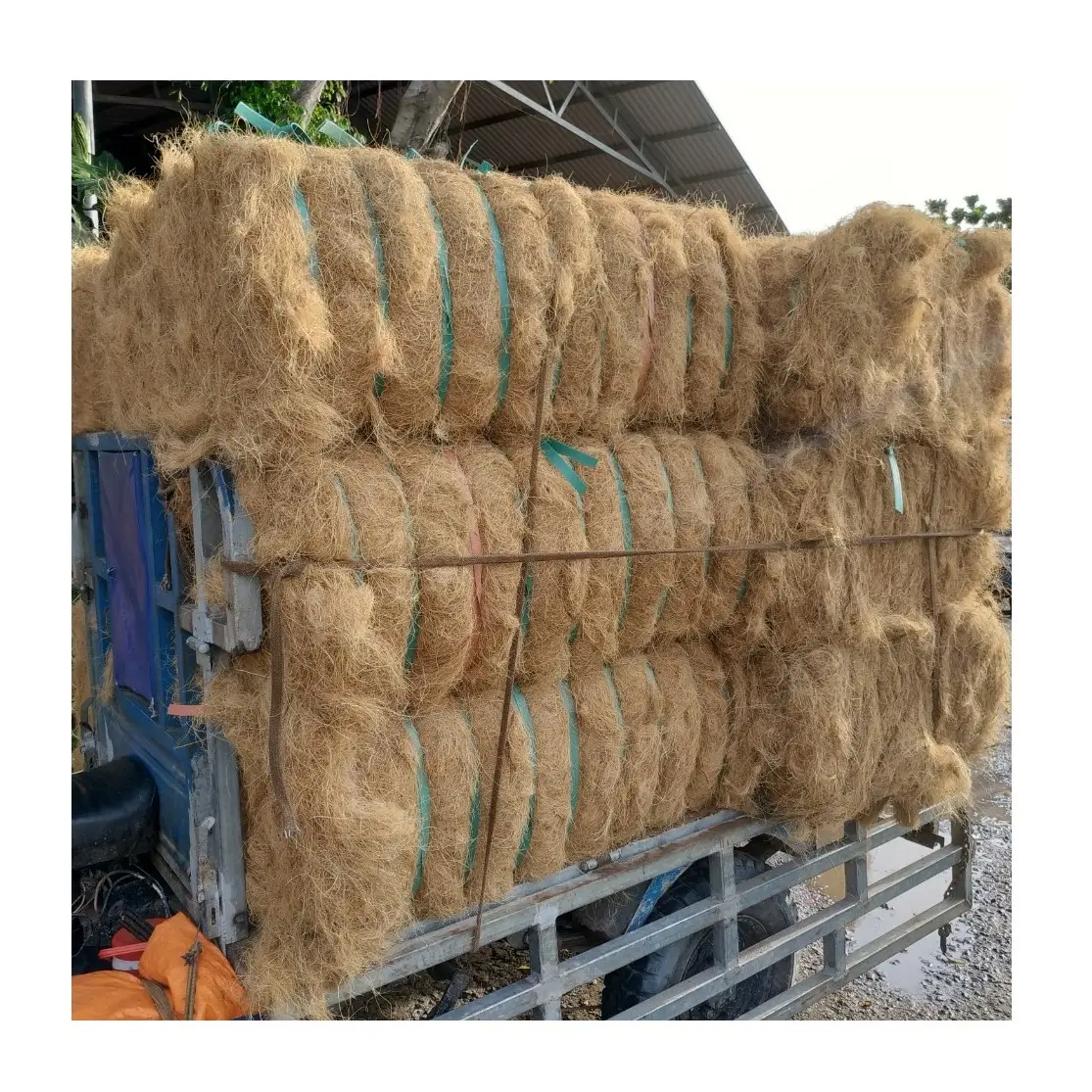 Fibra de coco lista para la exportación, precio barato, proveedor al por mayor de Vietnam