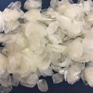 罗非鱼干鱼鳞/鲈鱼鱼鳞/工厂生产越南干鱼鳞