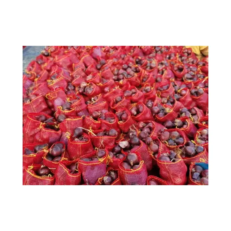 수출 품질 식품 등급 대량 구매 천연 맛있는 신선한 붉은 양파 널리 판매