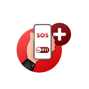Aplicación de emergencia inteligente SOS Predictiva IA Prevención de riesgos delictivos Aplicación remota de TI SOS Almacenamiento en la nube cifrado Transferencias seguras de archivos - Product Image 6