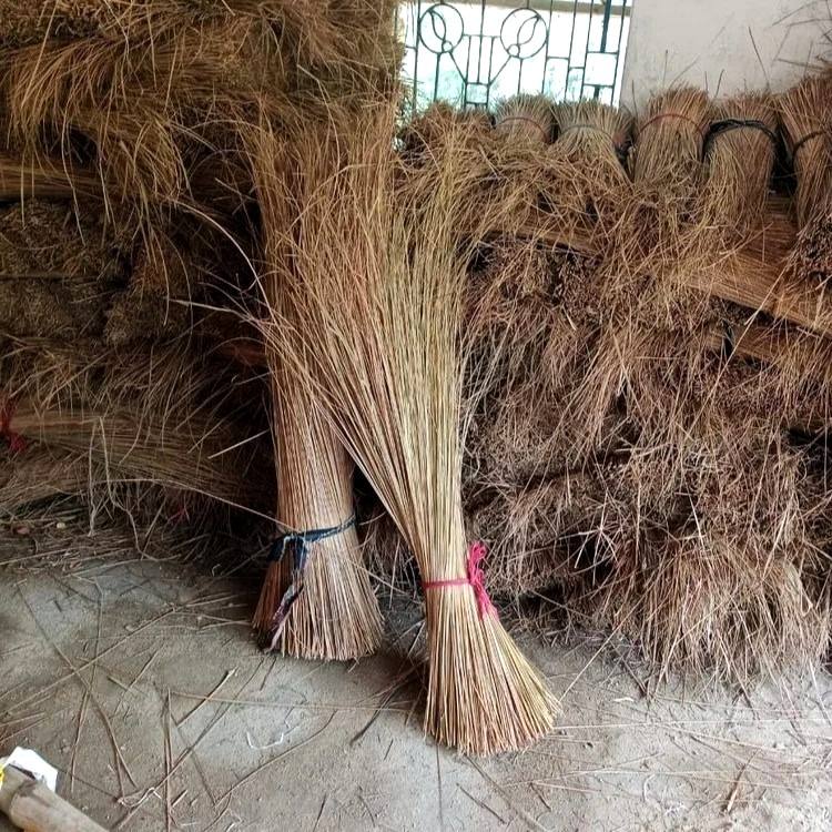 ธรรมชาติ