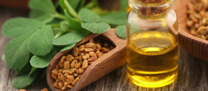 Wholesale Manufacturer price of Fenugreek essential <strong>oil</strong> ISO certified &amp; organic quality essential <strong>oil</strong> for Aromatherapy grade