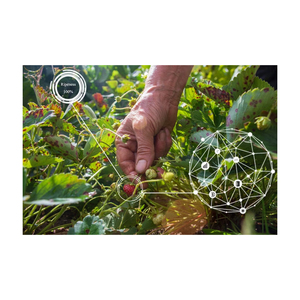 Agriculture Management Software Suite mit Anpassungen und Integration - Product Image 3