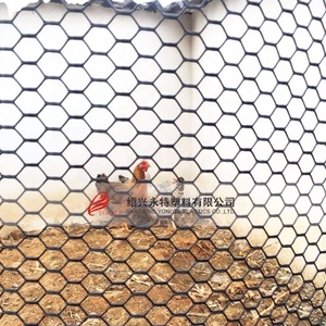 Tavuk kanatlı net için 1.2X2 5M çiftlik ekipmanları HDPE altıgen örgü plastik örgü - Product Image 5