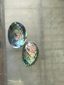 ベトナムのアワビの殻の虹色の魔法で見事なアートと装飾を作成してください