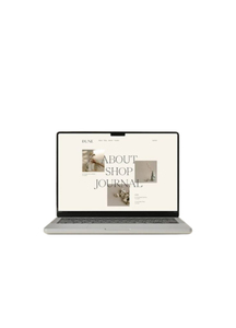SEO Friendly Design minisito Shopping sito web Design statico servizio di progettazione sito web India