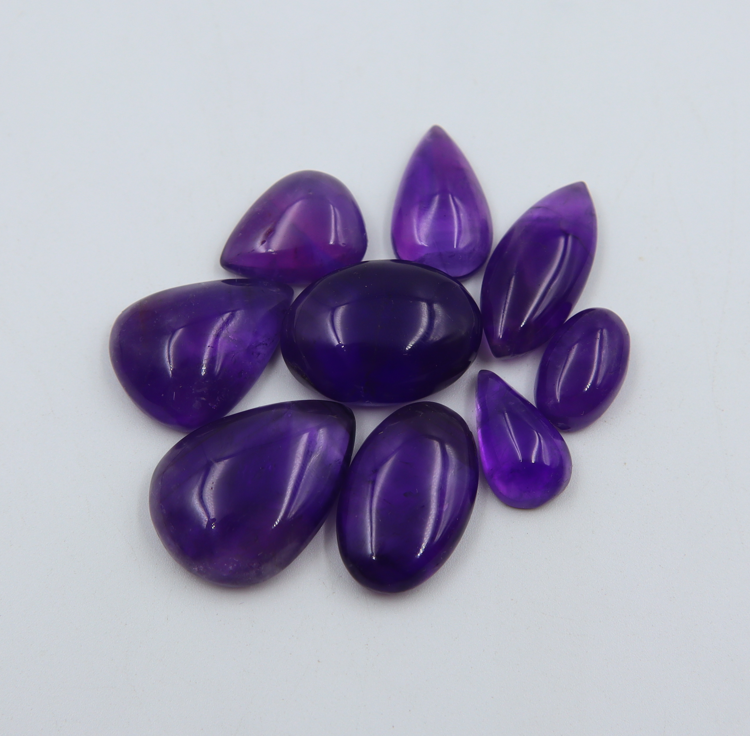 Pourpre