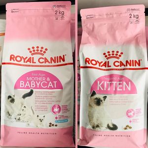 Wholesale Premium Quality Royal <strong>Canin</strong> Dog Food Maxi Starter in Stock at <strong>Good</strong> Prices Buy Royal <strong>Canin</strong> Pet Food 2 5 10 20kg Packs