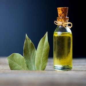 ローレルエッセンシャルオイル100% 純粋な有機植物天然ベイリーフオイル石鹸、キャンドル、マッサージ、スキンケア、香水、化粧品