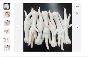 ブラジルの高速販売プレミアムハラール冷凍チキン全粒粉チキン足翼-低脂肪チキンフィート