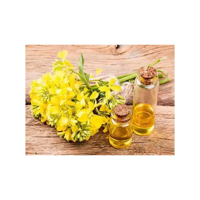 Factory wholesale price buy 99.9% canola oil high quality manufacturers supply bulk refined canola oil seeds /cheap canola oil