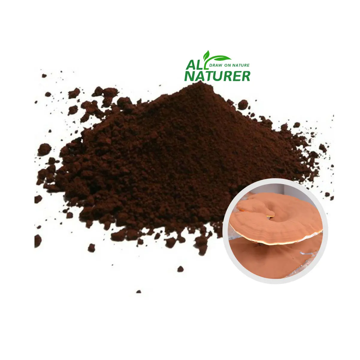 Naturer-Polvo de Ganoderma Lucidum Spore con carcasa rota, polvo de seta Reishi roja