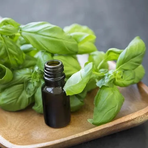 100% Natural Ocimum Basilium Best and Competitive Prices for BP Grade Holy Basil <strong>Oil</strong> Fresh Odor Exported from India - Product Image 2