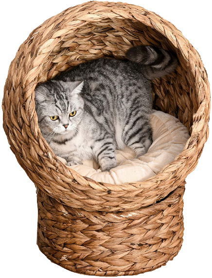 สีน้ำตาลเข้ม