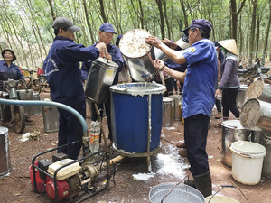顶级乳胶橡胶/舒适和弹性/最适合所有工业需求/越南制造