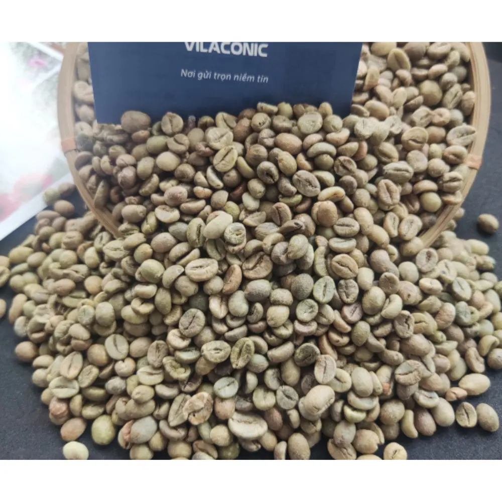 En iyi fiyat yüksek kalite Robusta kahve çekirdeği ekran 13, 16, 18 Vietnam itibar ihracatçısı bayan Vietnam + 84903261233
