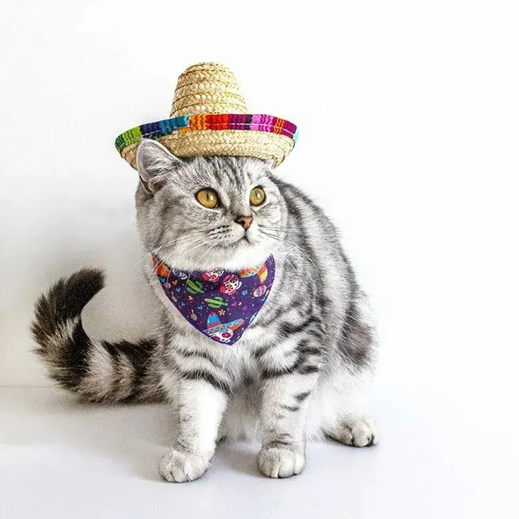 小さな帽子猫と犬のペットアクセサリー天然手作り織りストローペット帽子