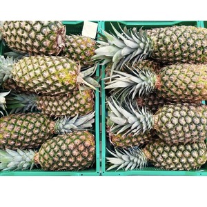 Toptan fiyat tatlı MD2 ananas meyveler-taze ananas sulu taze ihracatçı