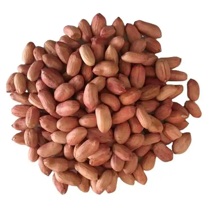 Cacahuètes Cacahuètes Crues De Haute Qualité Sans Coque Cacahuètes Crues Noyaux D'arachides Blanchis