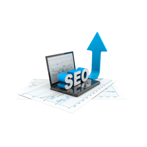 Servizi esperti di SEO per controlli approfonditi e ottimizzazione delle prestazioni per Linux e Mac OS - Product Image 1
