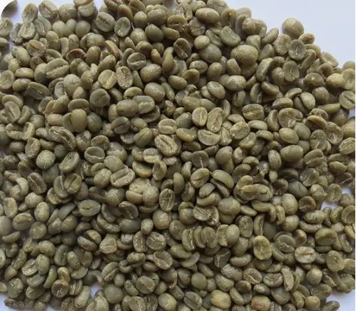 Caffè intero più venduto in grani verdi-chicchi di caffè comune Robusta/Arabica-più venduti a buon prezzo-produttore di caffè