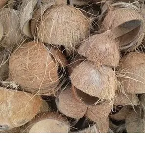 Guscio di cocco crudo in vendita