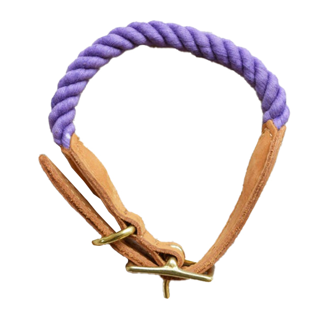 Pourpre
