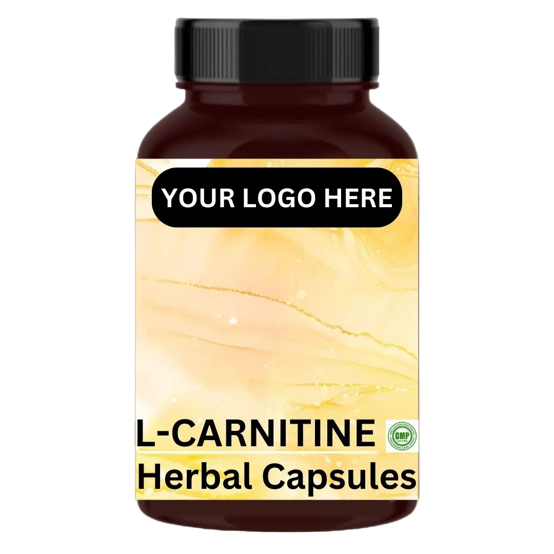 L-Carnitina para Fat Burning Faster e Energy Boost Burn Fat e Boost Energy Customization disponível, rotulagem privada