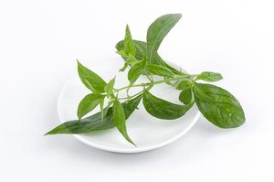 Sıcak satış Androxsil 20mg Andrographolide kapsül bitkisel özü vahşi Andrographis panithailand ta tayland 10 kapsül/kutu - Product Image 4