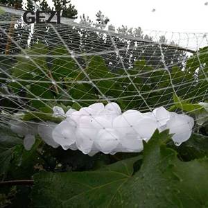 PE-kunststoff schutz anti-hagel hagel netz frost rundnetz für landwirtschaft getreide obst schutz apfelbaum pflanze