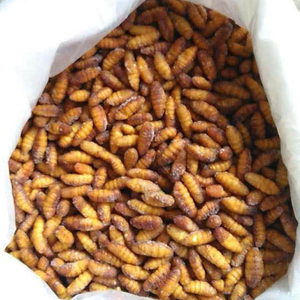 Maaltijd Voor Honden Huisdieren Veevoer Gedroogde Zijderupsen Voor Aquariumvissen Met Een Hoog Gehalte Aan Voedingsstoffen Voor Koi En Cichliden - Product Image 2