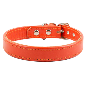 Collar de cabeza de perro de cuero con patrón sólido de nuevo diseñador con decoración de remaches Estilo clásico - Product Image 6
