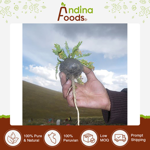 Fornecimento direto da fábrica Selvagem Método Cultivo Root Parts Extrato Herbal Black <span class=keywords><strong>Maca</strong></span> Root Extract <span class=keywords><strong>Powder</strong></span> from <span class=keywords><strong>Peru</strong></span> Fabricante - Product Image 4