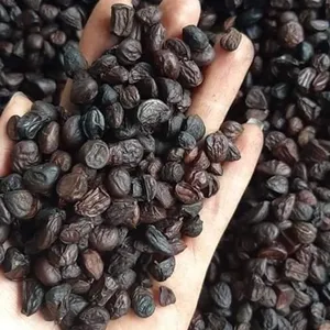 ויולט נאם מחיר תחרותי michelia tonkinensis