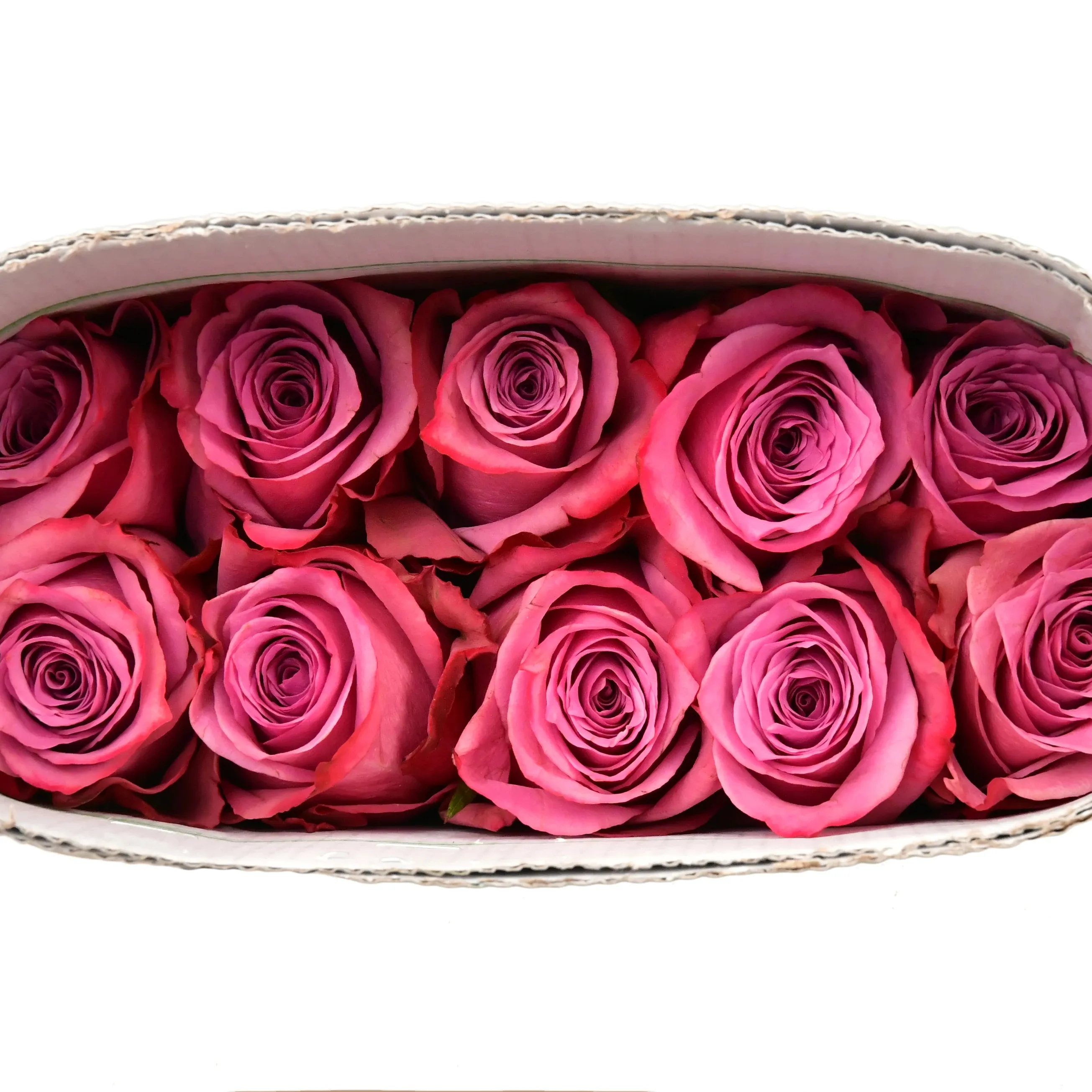 Flores frescas de corte novo Premium Queniano corte fresco rosa roxo haste grande 62 cm atacado flor fresca de varejo