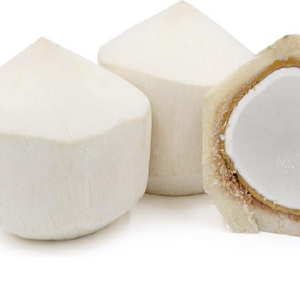 Großhandel Bio frische Kokosnuss voll geschälte Narikel-Frucht mit getrockneter geschälter Schale Ideal für Export käufer und gesund