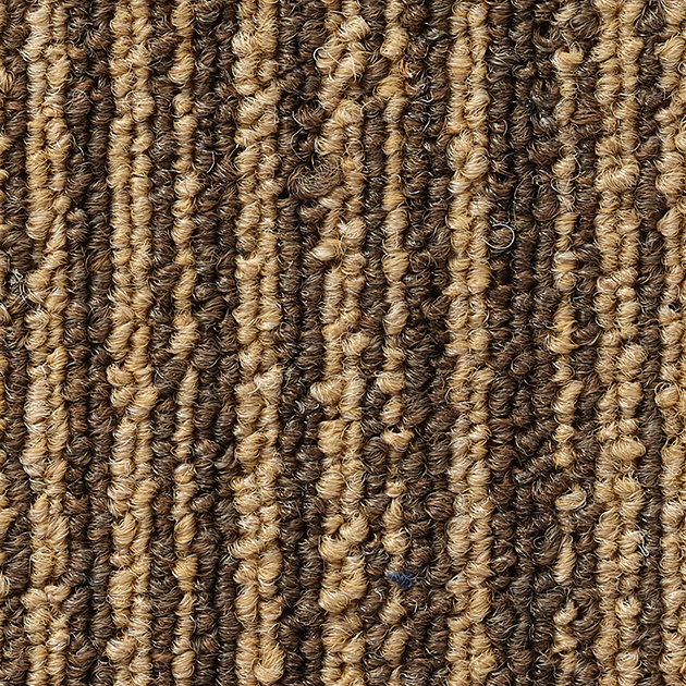 NT302V _ C01