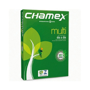 Chamex Letter <strong>Paper</strong> 8.5 X 11&quot; Copy <strong>Paper</strong> 75 Gsm Chamex at Best Price - Product Image 2