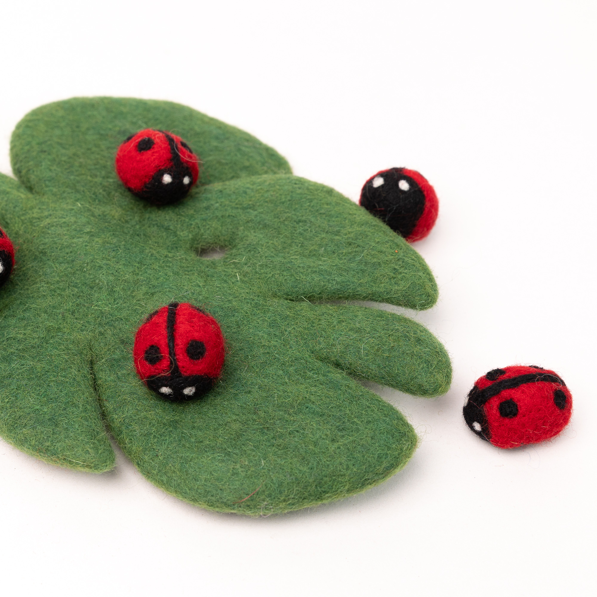 Fieltro de lana Red Lady Bug