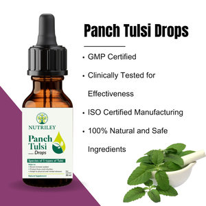 <strong>Ayurvedic</strong> Panch Tulsi Drops for Microbial Protection Digestive Health and Enhanced Overall Immunity - Product Image 4