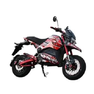 Manufacturer Wholesale 80km/h other motorcycles(old) 3000w 8000w racing eec electric motorcycles