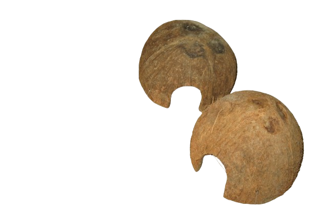 ธรรมชาติ