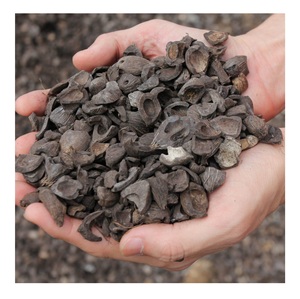 Sıcak satış palmiye çekirdeği ve iyi fiyatlarla hurma çekirdeği kabuğu - Product Image 3