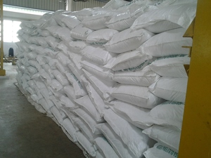 Gute Qualität PKM1 Moringa Samen sind rein und hygienisch frei von Verunreinigungen für den Anbau und die Ölgewinnung - Product Image 5