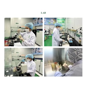 精製された鳥の巣が豊富なタンパク質100gr健康を高め、免疫力を高める鳥の巣をリーズナブルな価格で - Product Image 5